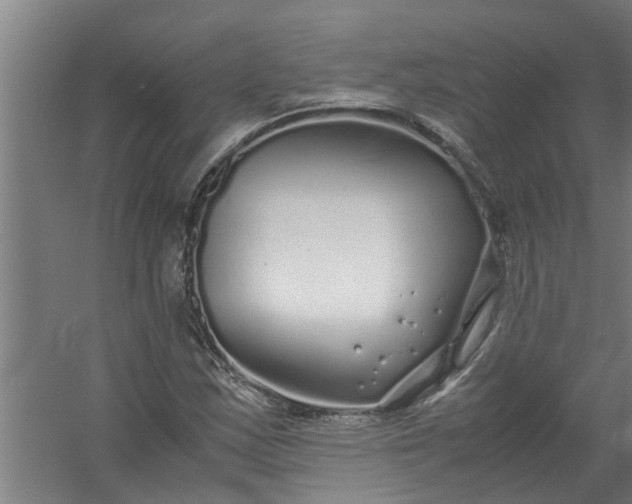 X0000059851163200511041832