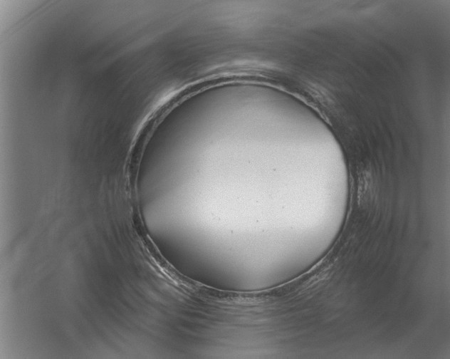 X0000059851164200511041832