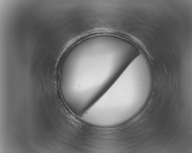 X0000059851168200511041832