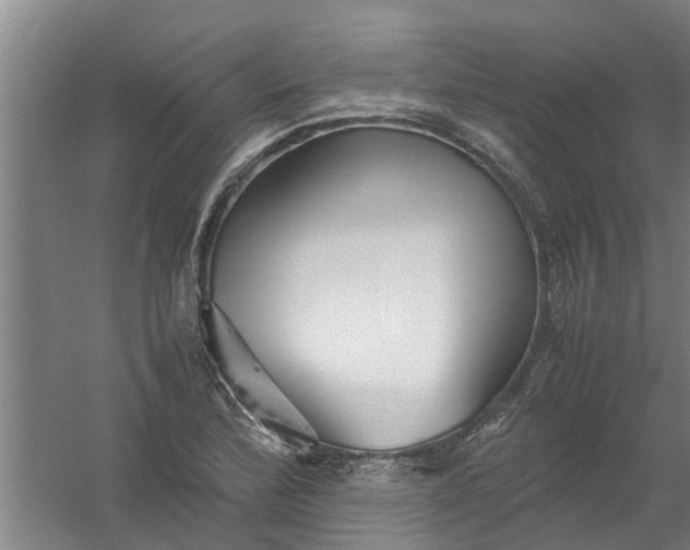 X0000059851172200511041831