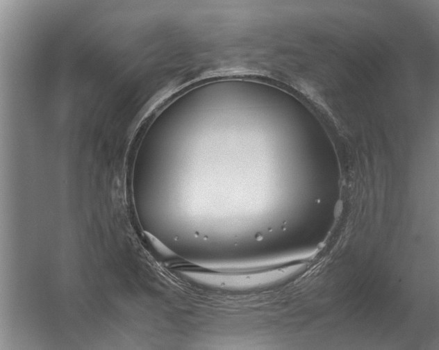 X0000059851173200511041831