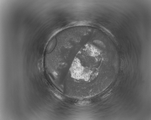 X0000059851174200511041831