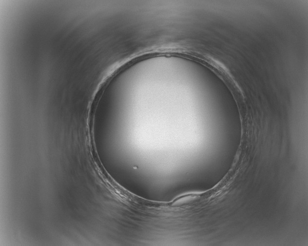 X0000059851176200511041831