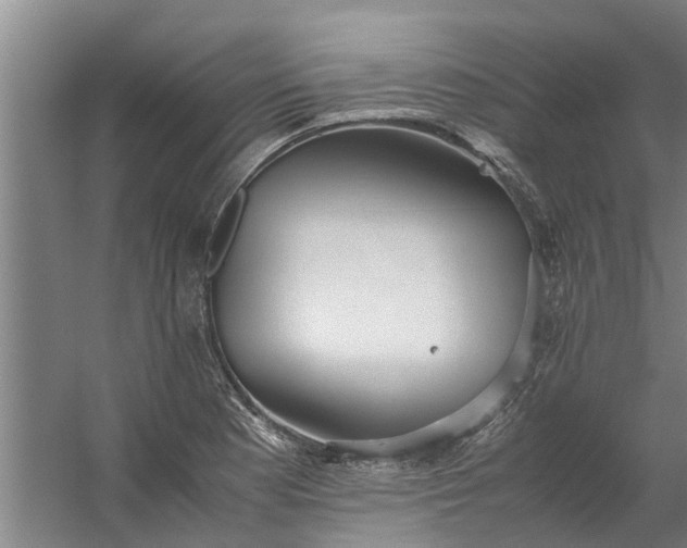 X0000059851177200511041831