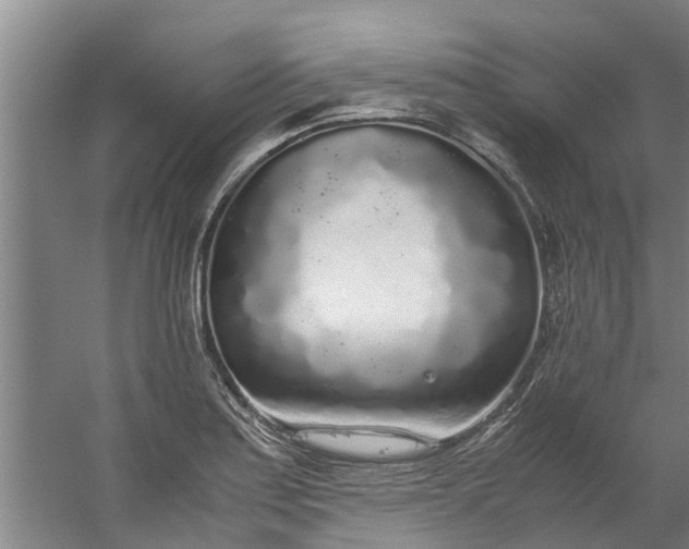 X0000059851179200511041831