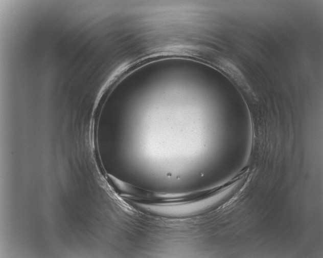 X0000059851180200511041831