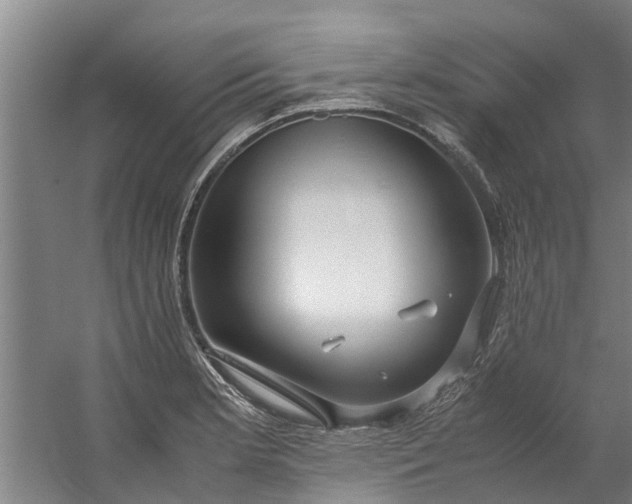 X0000059851181200511041831