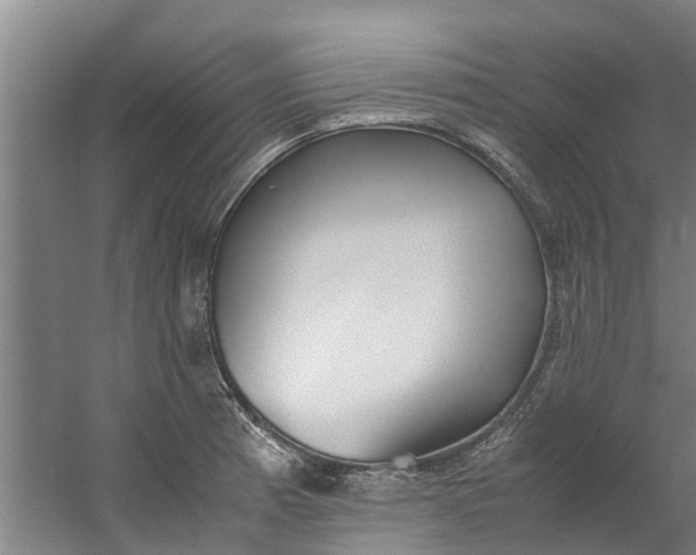 X0000059851185200511041831