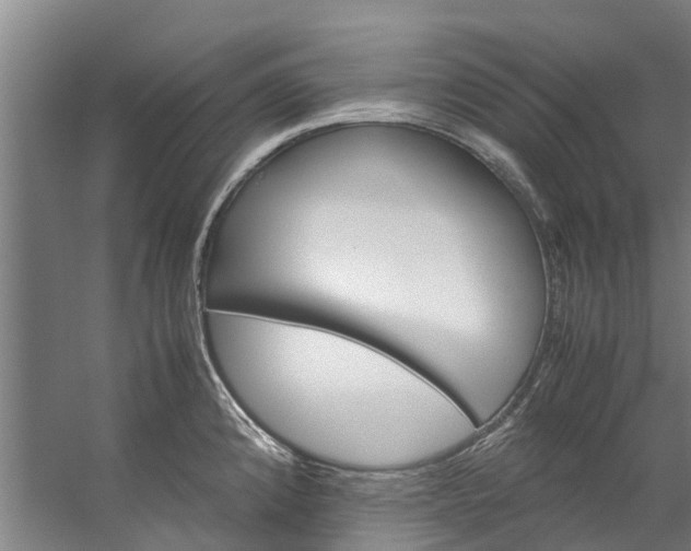 X0000059851192200511041831