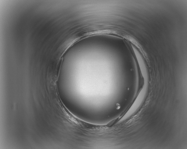 X0000059851193200511041831