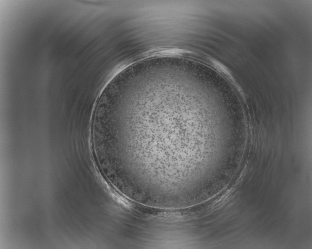 X0000059851194200511041831