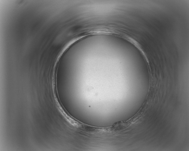 X0000059851195200511041831