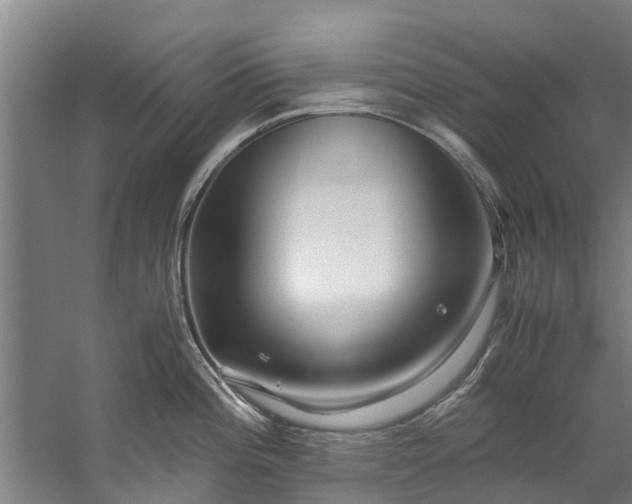 X0000059851196200511041831