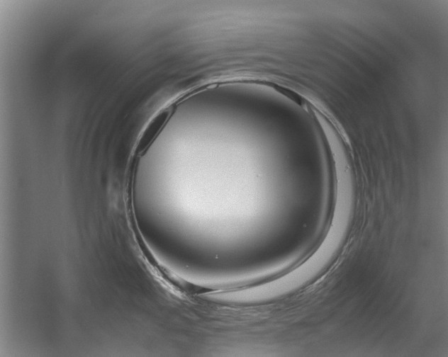 X0000059851197200511041831