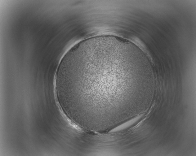 X0000059851198200511041831