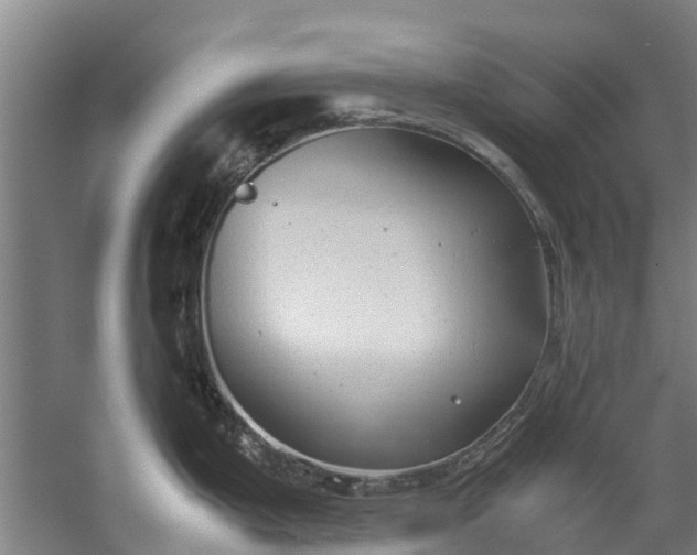 X0000059851199200511041831