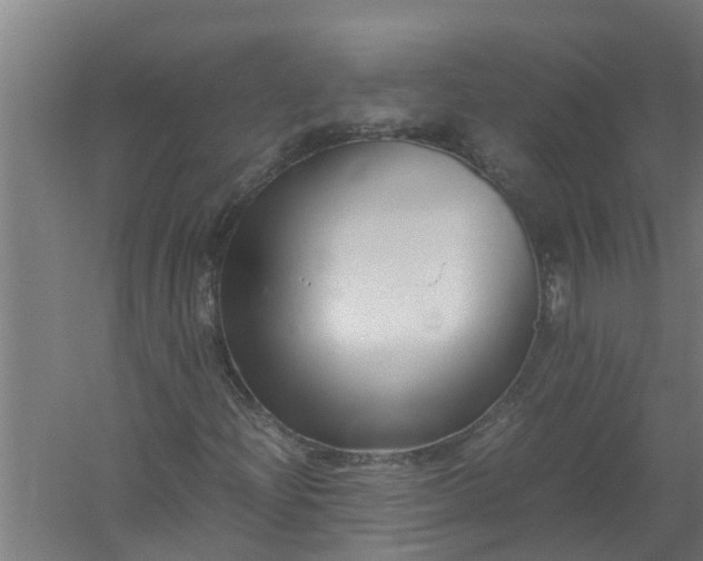 X0000059851204200511041830