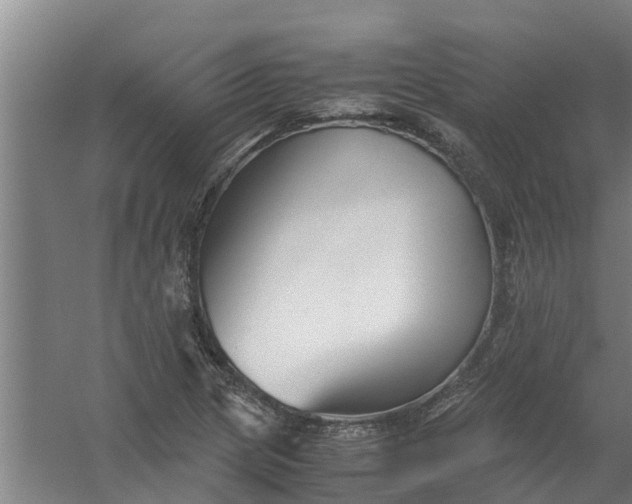 X0000059851217200511041830