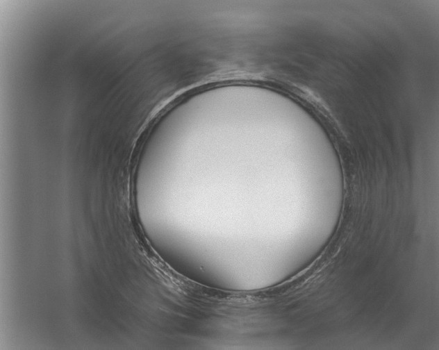 X0000059851220200511041831