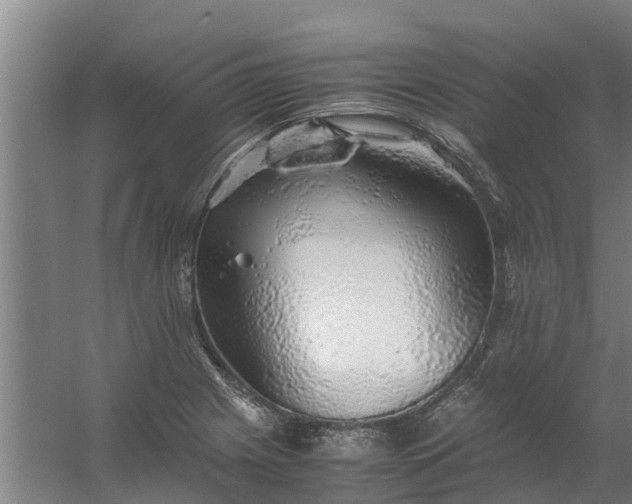 X0000059851225200511041831