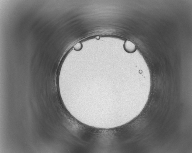 X0000059851226200511041831