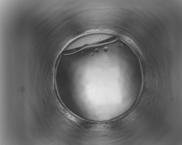 X0000059851228200511041831