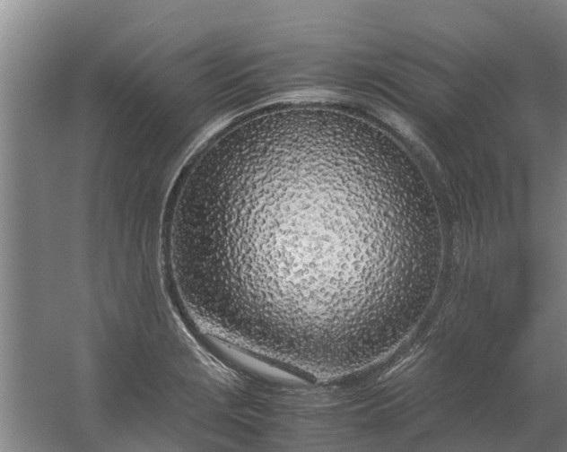 X0000059851229200511041831