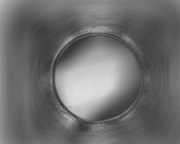 X0000059851232200511041831