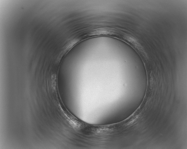 X0000059851233200511041831