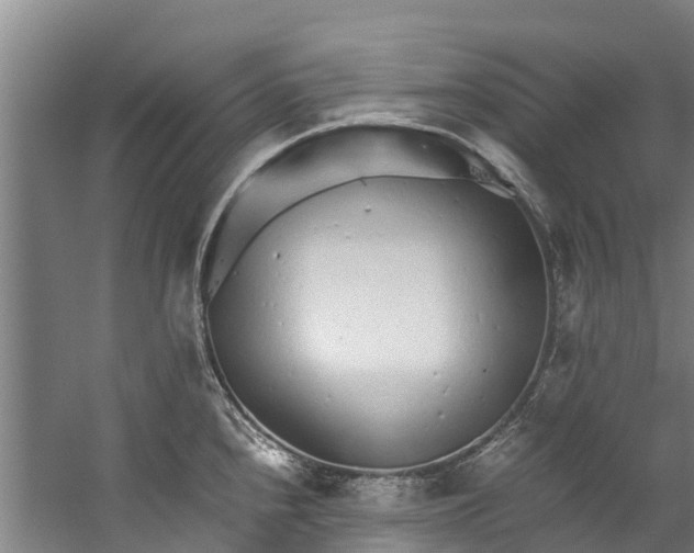 X0000059851240200511041831