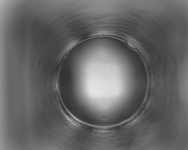 X0000059851241200511041831