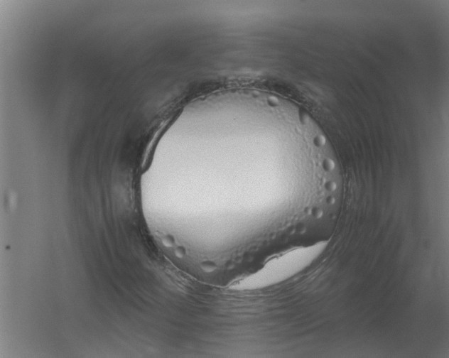 X0000059851252200511041830