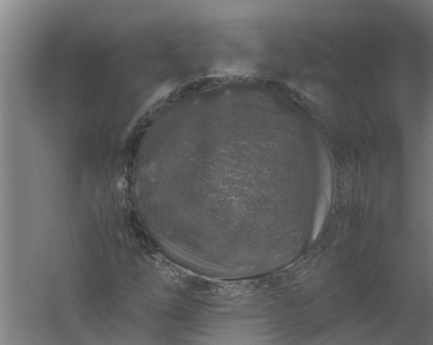 X0000059851254200511041830