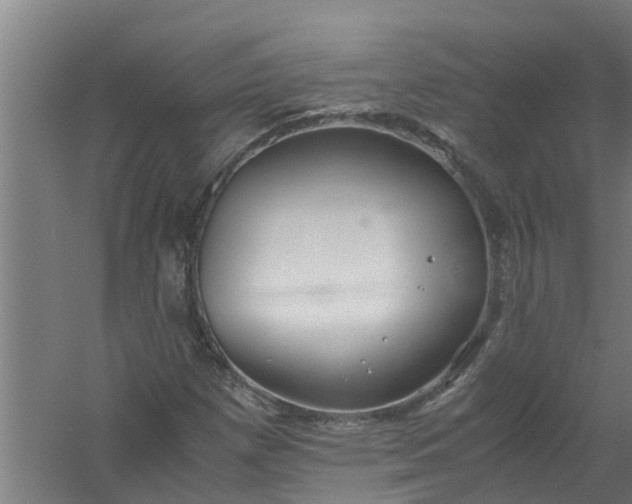 X0000059851257200511041830