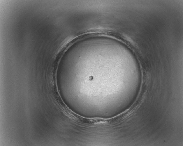 X0000059851259200511041830