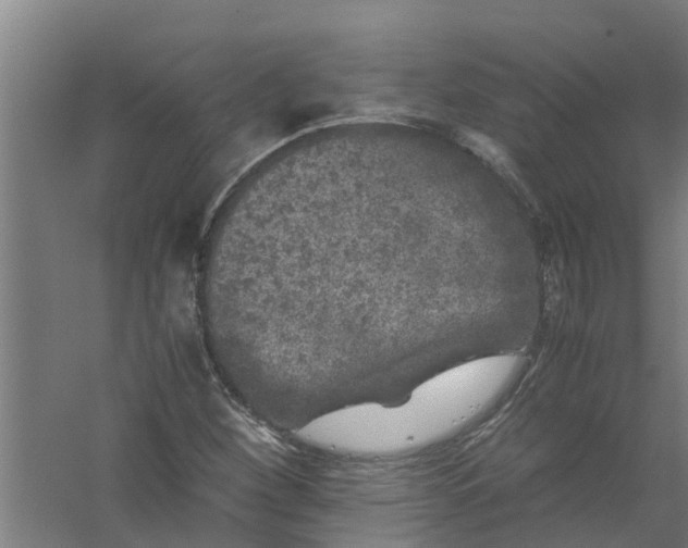 X0000059851260200511041830