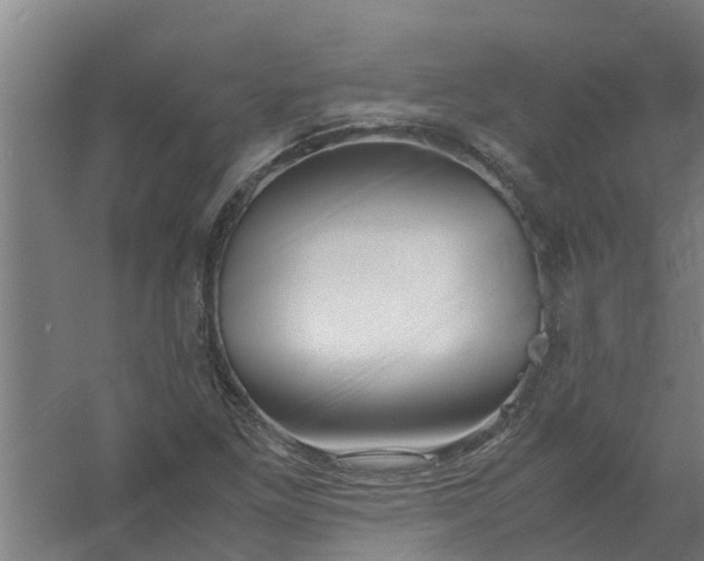 X0000059851261200511041830