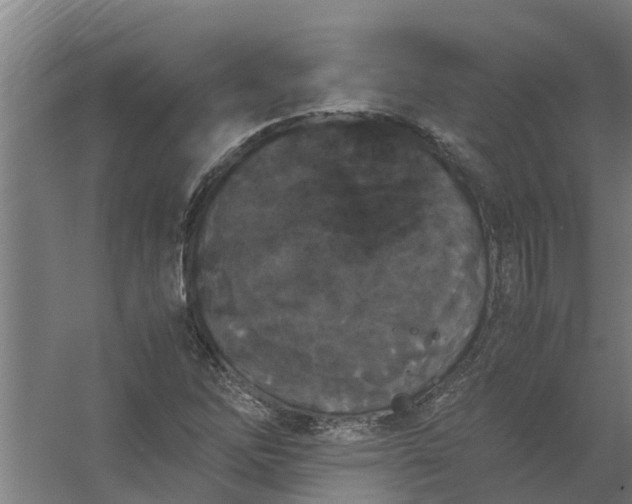 X0000059851262200511041830