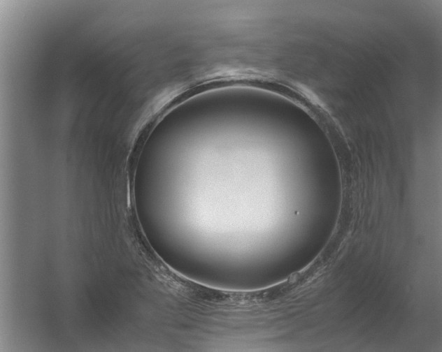 X0000059851269200511041830