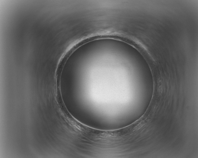 X0000059851270200511041830