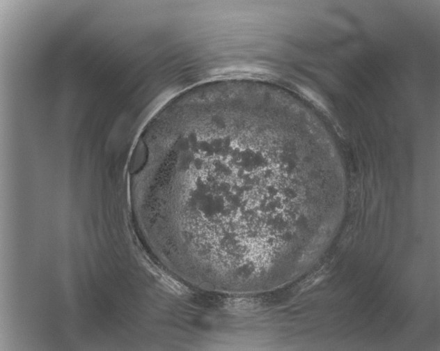 X0000059851275200511041830