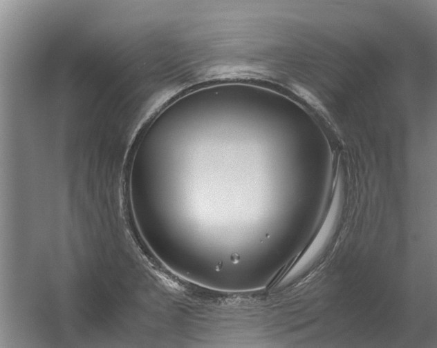 X0000059851277200511041830