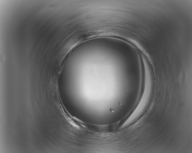 X0000059851289200511041829