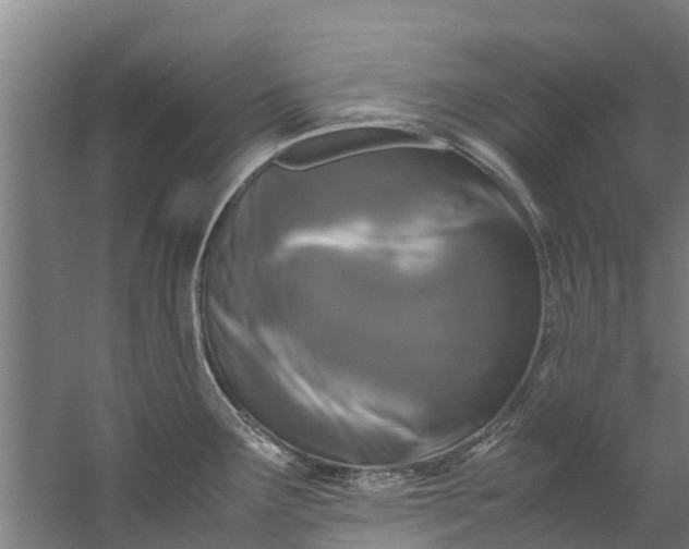 X0000059851291200511041829