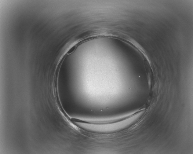 X0000059851293200511041829