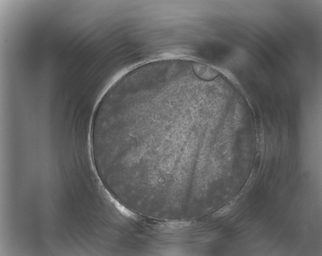 X0000059851294200511041829