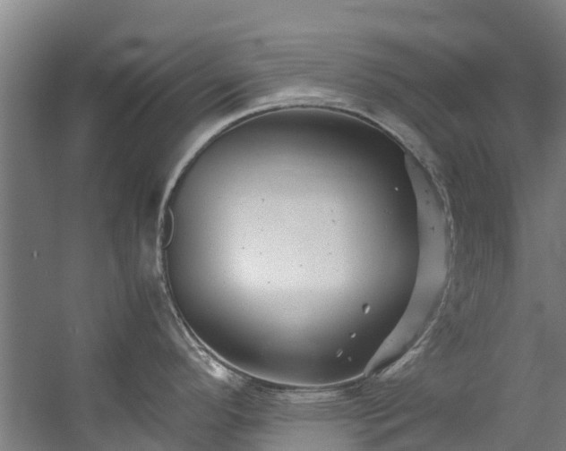 X0000059851296200511041829