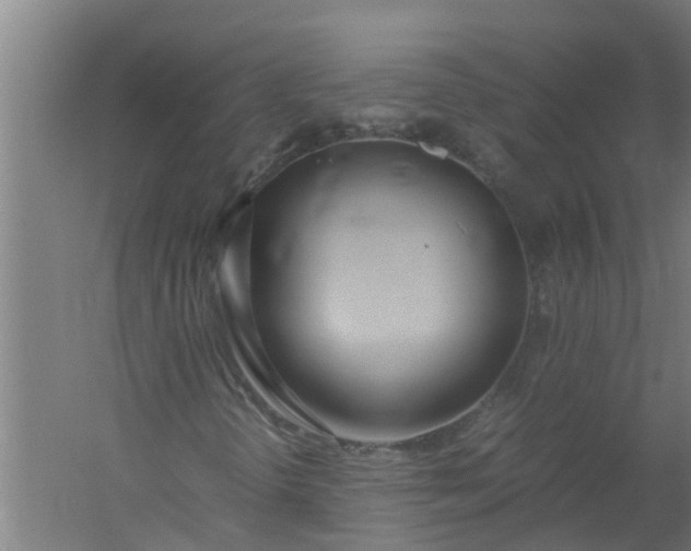 X0000059851298200511041829