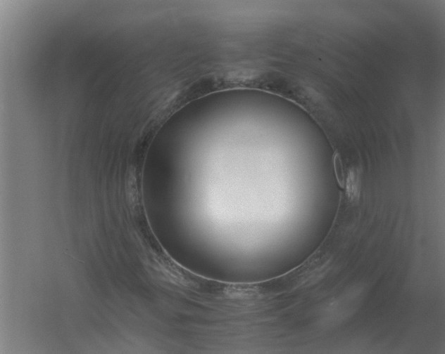 X0000059851299200511041829