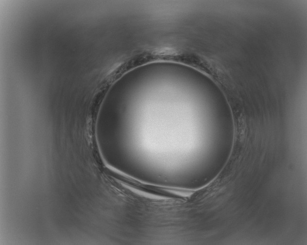 X0000059851301200511041829